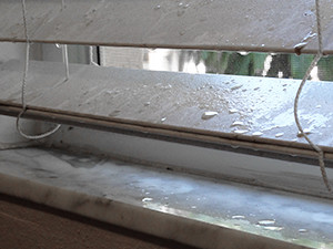 overspray-stone-damage1